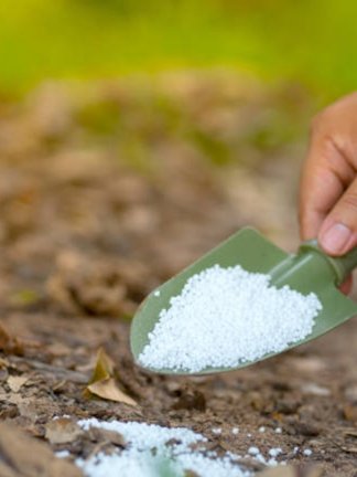  Fertilizer